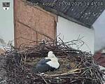 Capi_Dubne_20250425_144504.jpg