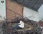 Capi_Dubne_20250425_153502.jpg