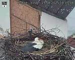 Capi_Dubne_20250425_180504.jpg