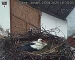 Capi_Dubne_20250425_183003.jpg