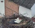 Capi_Dubne_20250425_190502.jpg