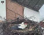 Capi_Dubne_20250425_193002.jpg