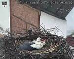 Capi_Dubne_20250425_193502.jpg