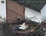 Capi_Dubne_20250425_200003.jpg