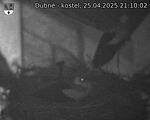 Capi_Dubne_20250425_211002.jpg