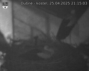 Capi_Dubne_20250425_211503.jpg (1350 x 1080)