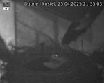 Capi_Dubne_20250425_213503.jpg