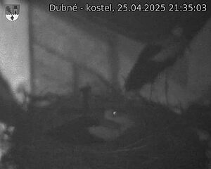 Capi_Dubne_20250425_213503.jpg (1350 x 1080)