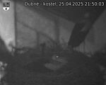 Capi_Dubne_20250425_215003.jpg
