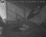 Capi_Dubne_20250425_215502.jpg