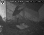 Capi_Dubne_20250425_223502.jpg