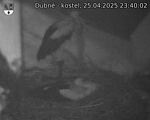 Capi_Dubne_20250425_234002.jpg