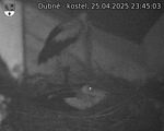 Capi_Dubne_20250425_234503.jpg