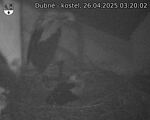 Capi_Dubne_20250426_032002.jpg