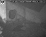 Capi_Dubne_20250427_000502.jpg