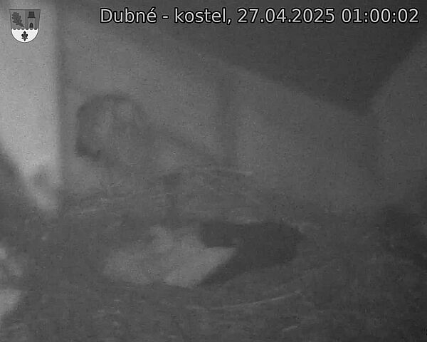 Capi_Dubne_20250427_010002.jpg (1350 x 1080)