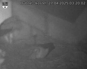 Capi_Dubne_20250427_032002.jpg (1350 x 1080)
