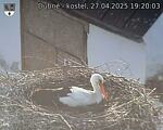 Capi_Dubne_20250427_192003.jpg
