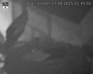 Capi_Dubne_20250427_214502.jpg (1350 x 1080)