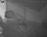 Capi_Dubne_20250427_233003.jpg