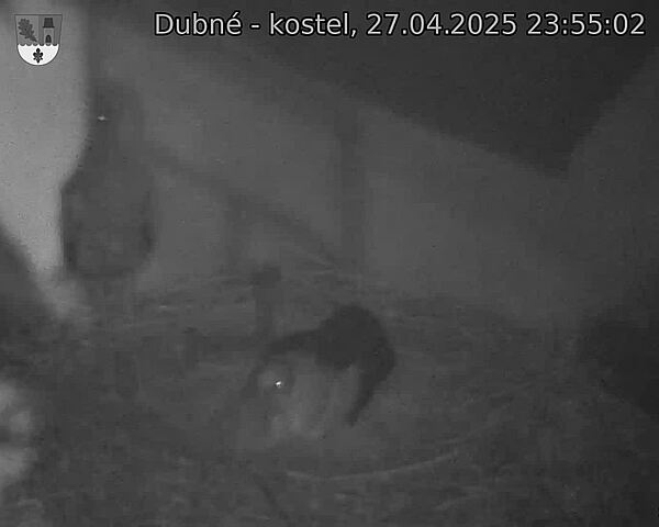 Capi_Dubne_20250427_235502.jpg (1350 x 1080)