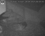 Capi_Dubne_20250428_000503.jpg