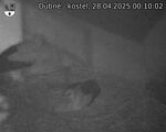 Capi_Dubne_20250428_001002.jpg