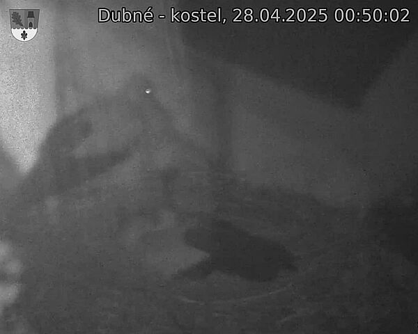 Capi_Dubne_20250428_005002.jpg (1350 x 1080)