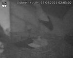 Capi_Dubne_20250428_020502.jpg