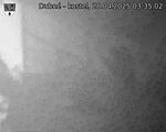 Capi_Dubne_20250428_033502.jpg