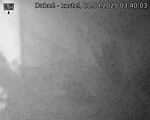 Capi_Dubne_20250428_034003.jpg