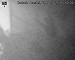 Capi_Dubne_20250428_035002.jpg