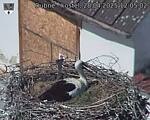 Capi_Dubne_20250428_120502.jpg