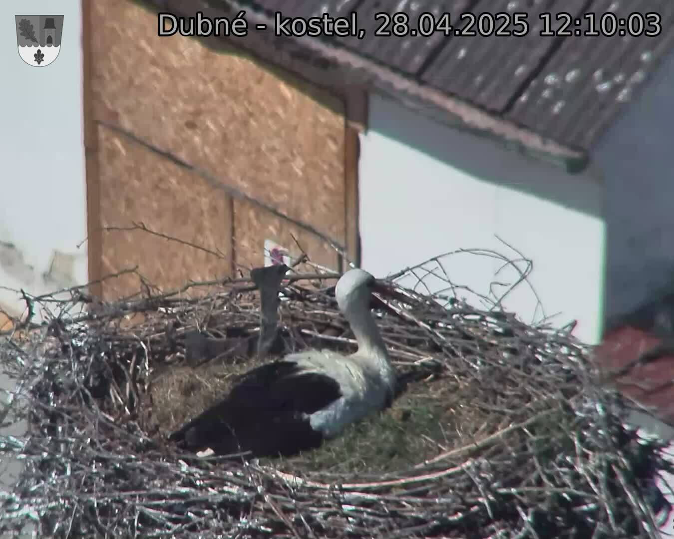 Capi_Dubne_20250428_121003.jpg (1350 x 1080)