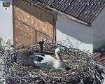 Capi_Dubne_20250428_144503.jpg