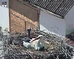 Capi_Dubne_20250428_151502.jpg
