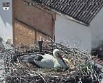 Capi_Dubne_20250428_154003.jpg