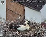Capi_Dubne_20250428_192503.jpg