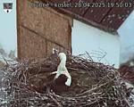 Capi_Dubne_20250428_195003.jpg