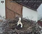 Capi_Dubne_20250428_201002.jpg