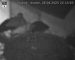 Capi_Dubne_20250428_221503.jpg