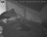 Capi_Dubne_20250428_222003.jpg