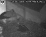 Capi_Dubne_20250428_224503.jpg