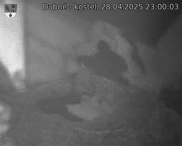 Capi_Dubne_20250428_230003.jpg (1350 x 1080)