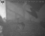 Capi_Dubne_20250428_233002.jpg