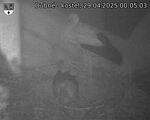 Capi_Dubne_20250429_000503.jpg