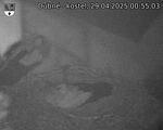 Capi_Dubne_20250429_005503.jpg