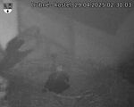 Capi_Dubne_20250429_023003.jpg