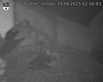 Capi_Dubne_20250429_025003.jpg