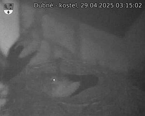 Capi_Dubne_20250429_031502.jpg (1350 x 1080)